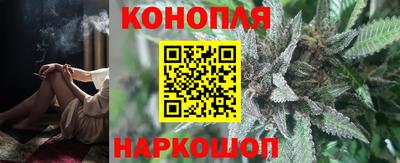 прущие крисы Нарткала