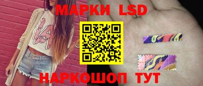 ГАЛЛЮЦИНОГЕННЫЕ ГРИБЫ Нальчик