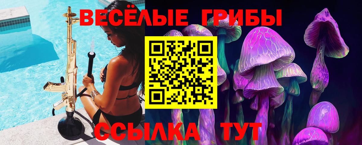 Псилоцибиновые грибы прущие грибы Чехов