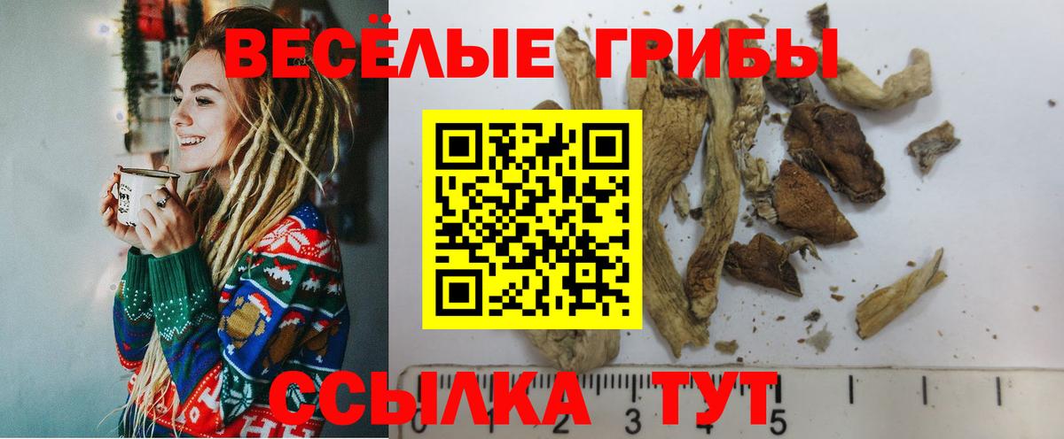 Псилоцибиновые грибы мухоморы  продажа наркотиков  Чехов  Вход с VPN 